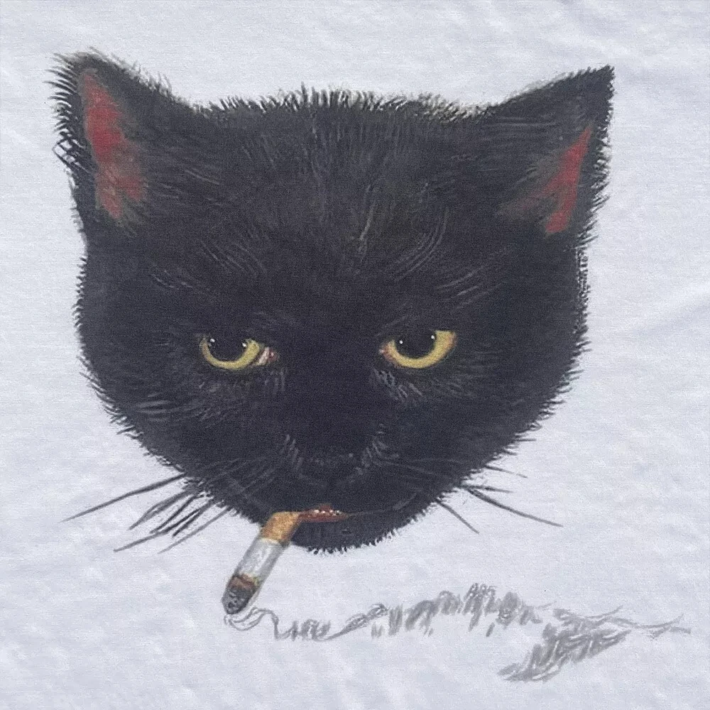 Y2k Wrinkled Cat Graphic Print – Summer Grunge Clothing recenzja i cena